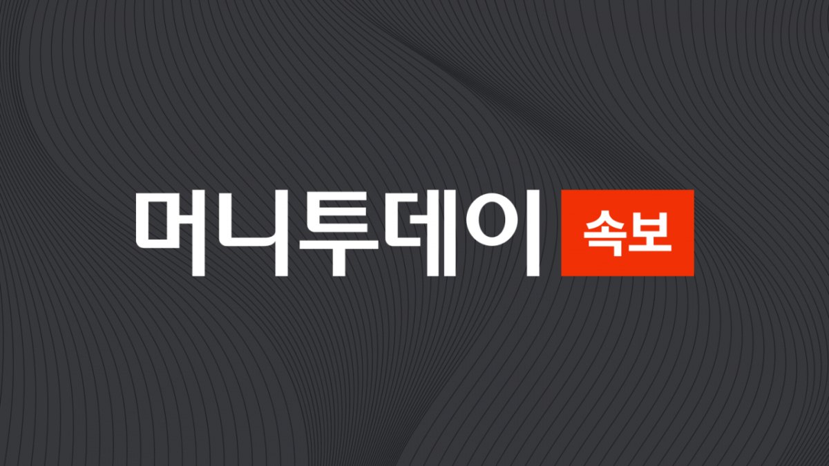 트럼프, 이스라엘-헤즈볼라 교전 중단 발표 관련 이미지
