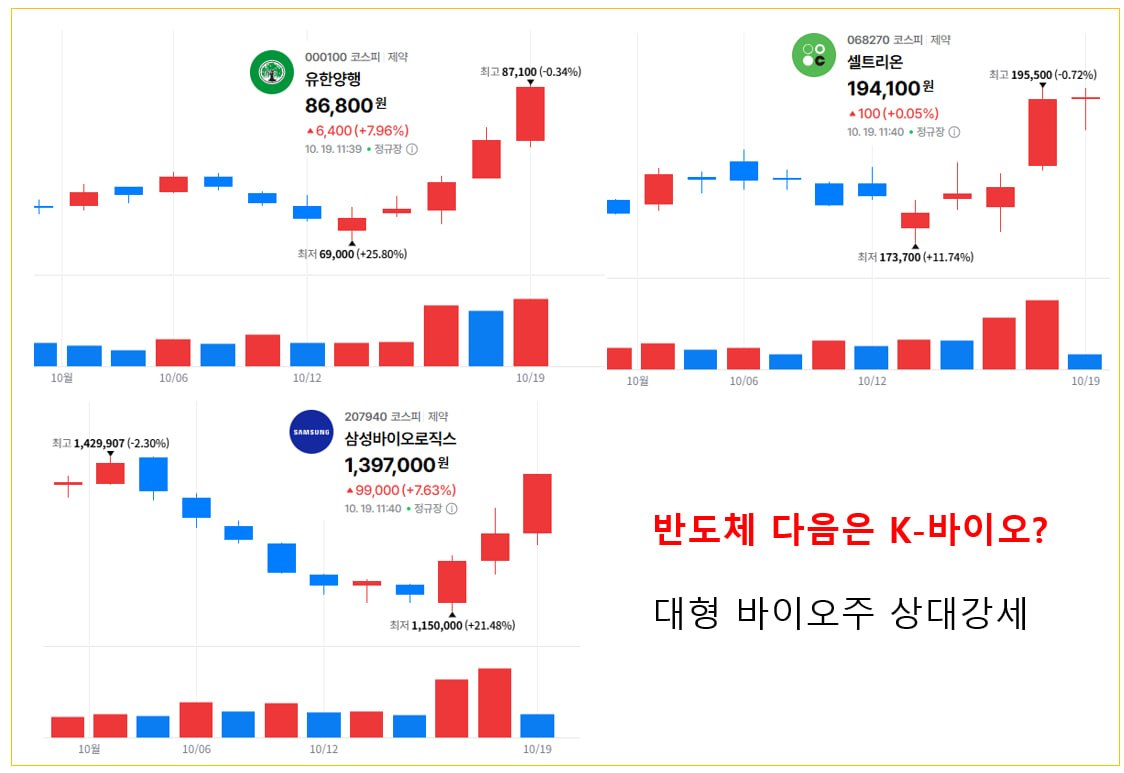 반도체 부진 속 K-바이오 대형주 강세 관련 이미지