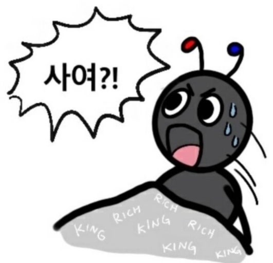 댓글 첨부 이미지