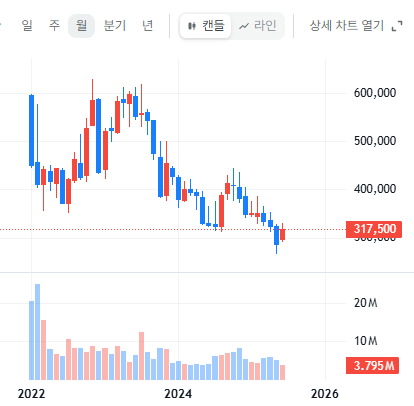 엔솔은 스키탔나요? 직활강중