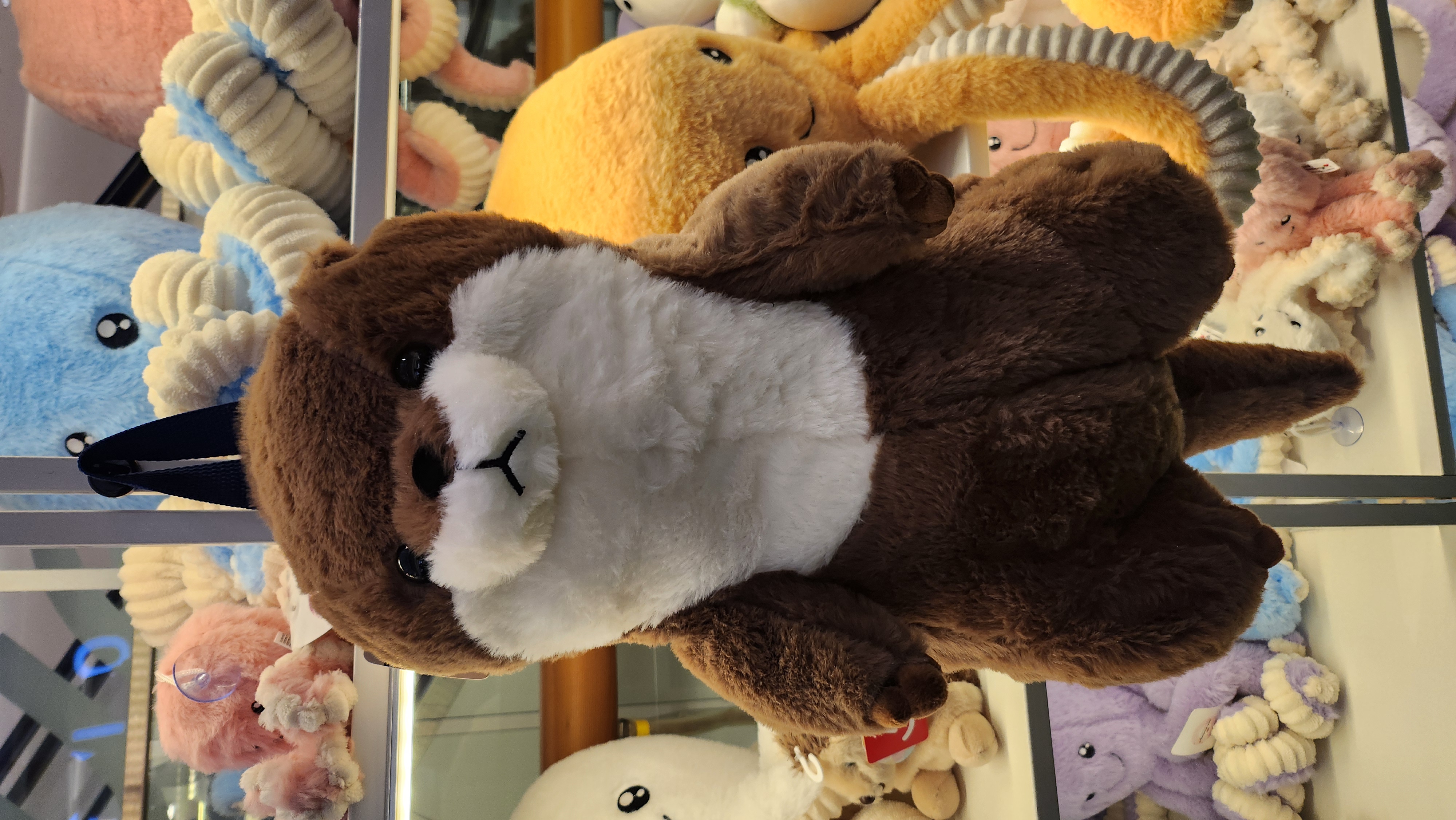 community_profile_image_VXNlclR5cGU6NzM4